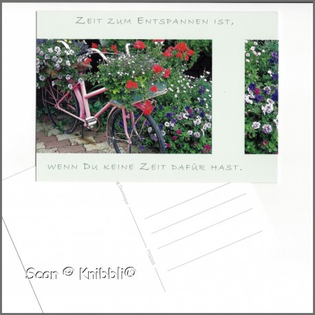 Postkarte Blumen Fahrrad mit Grußspruch