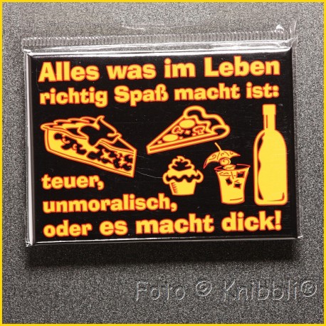 Magnetschild ca 6,5x9 cm Fun Spruch11